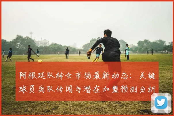 阿根廷队转会市场最新动态:关键球员离队传闻与潜在加盟预测分析